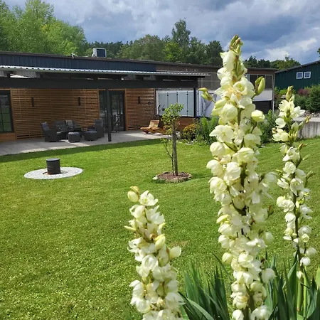 Hainberg-loft Mit Gartensauna Ferienhaus *
